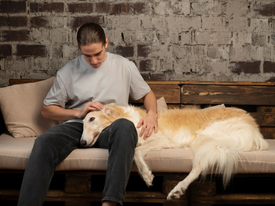 A dog sleeping peacefully after a massage