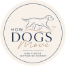 How Dogs Move logo featuring a minimalist line drawing of a walking dog in navy blue with soft beige accents and the text “Learn to Notice. Help Them Feel Their Best.” on a light background.