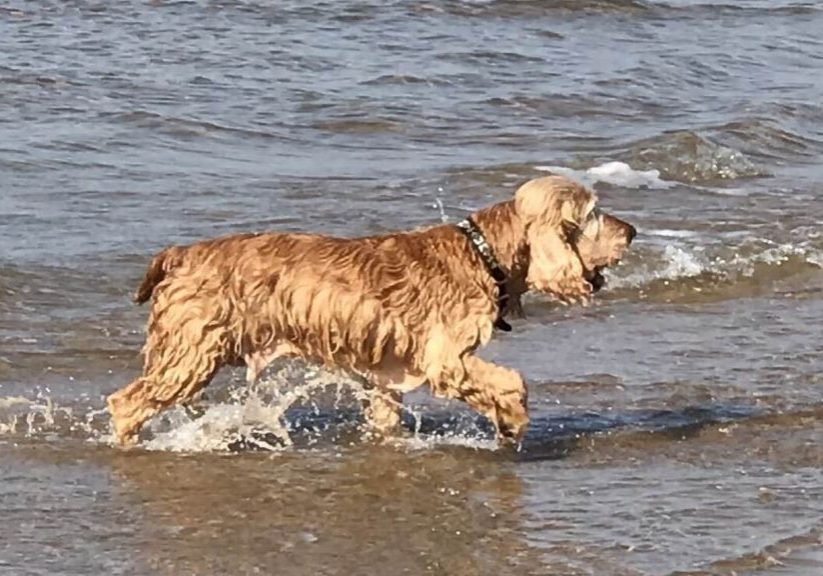 exercise using low water level for extra resistent
